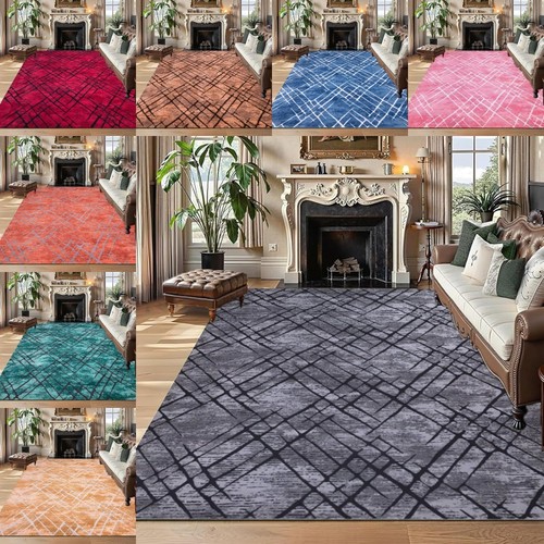 Non slip shaggy rugs hallway - non,