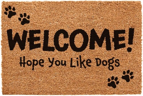 Door mat indoor - indoor, non